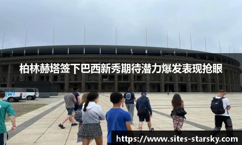 星空体育官网