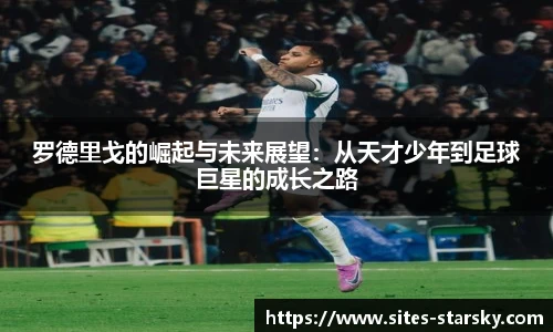 星空体育网站入口