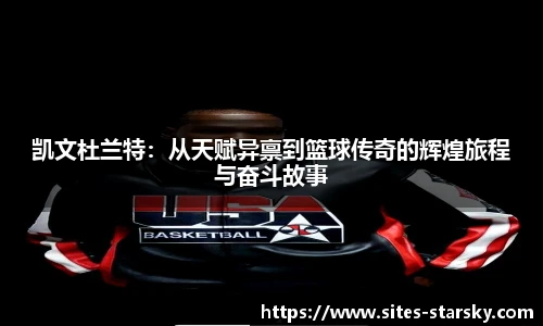 星空体育官网