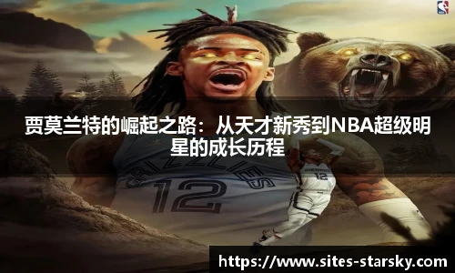 星空体育官网